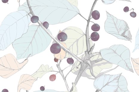 PAPIER PEINT – BAIES DE GROSEILLE À MAQUEREAU - PAPIERS PEINTS NATURE - PAPIERS PEINTS PANORAMIQUES