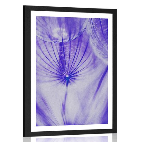 AFFICHE AVEC PASSE-PARTOUT – PISSENLIT EN VIOLET - FLEURS - AFFICHES
