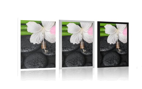 AFFICHE – NATURE MORTE BIEN-ÊTRE - FENG SHUI - AFFICHES