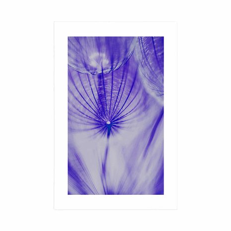 AFFICHE AVEC PASSE-PARTOUT – PISSENLIT EN VIOLET - FLEURS - AFFICHES