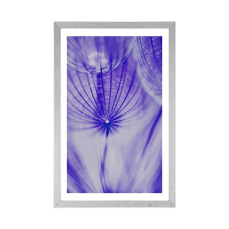 AFFICHE AVEC PASSE-PARTOUT – PISSENLIT EN VIOLET - FLEURS - AFFICHES