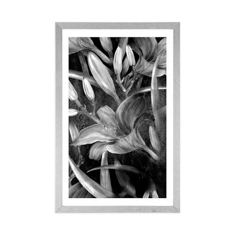 AFFICHE AVEC PASSE-PARTOUT – ÉPANOUISSEMENT DE LYS EN NOIR ET BLANC - NOIR ET BLANC - AFFICHES