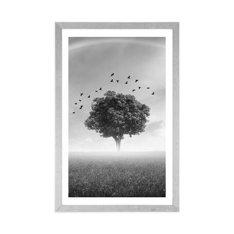 AFFICHE – ARBRE SOLITAIRE DANS UNE PRAIRIE EN NOIR ET BLANC - NOIR ET BLANC - AFFICHES