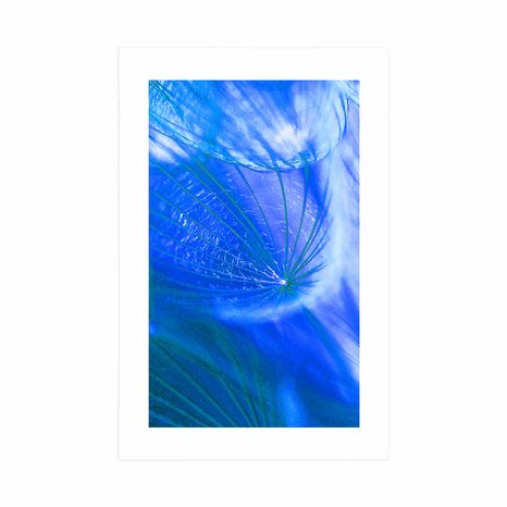 AFFICHE AVEC PASSE-PARTOUT – BEAU PISSENLIT EN BLEU - FLEURS - AFFICHES