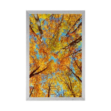 AFFICHE – COURONNES D'ARBRES EN AUTOMNE - NATURE - AFFICHES