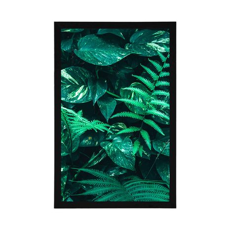 AFFICHE – FEUILLES TROPICALES FRAÎCHES - NATURE - AFFICHES