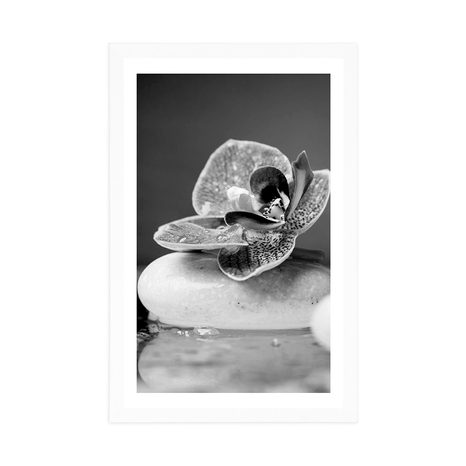 AFFICHE – ORCHIDÉE ET PIERRES ZEN EN NOIR ET BLANC - NOIR ET BLANC - AFFICHES