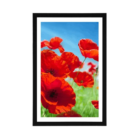AFFICHE – FLEURS DE COQUELICOTS DANS LE PRÉ - FLEURS - AFFICHES