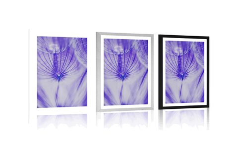 AFFICHE AVEC PASSE-PARTOUT – PISSENLIT EN VIOLET - FLEURS - AFFICHES