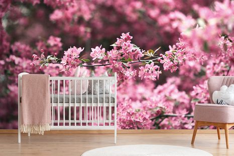 PAPIER PEINT PANORAMIQUE – DÉTAIL DES FLEURS DE CERISIER - PAPIERS PEINTS NATURE - PAPIERS PEINTS PANORAMIQUES