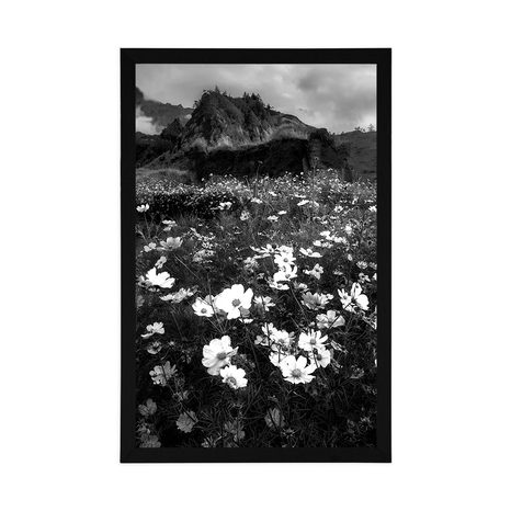 AFFICHE – PRAIRIE DE FLEURS EN FLEURS EN NOIR ET BLANC - NOIR ET BLANC - AFFICHES