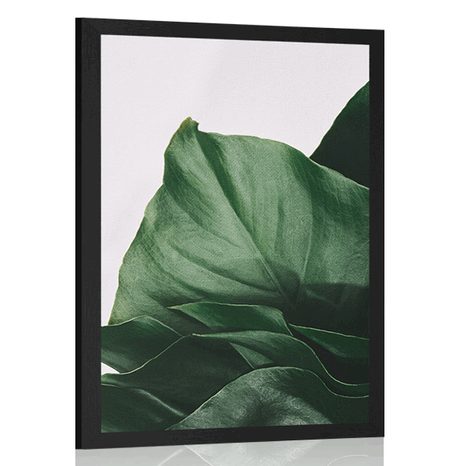 AFFICHE – FEUILLE DE MONSTERA CHARMANTE - FLEURS - AFFICHES