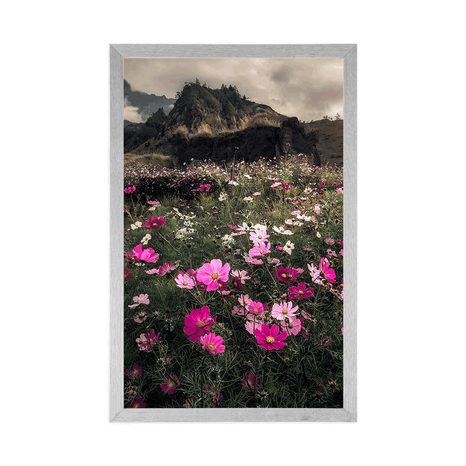 AFFICHE – PRAIRIE DE FLEURS EN FLEURS - NATURE - AFFICHES