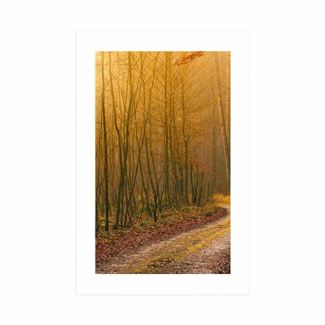 AFFICHE – CHEMIN VERS LA FORÊT - NATURE - AFFICHES