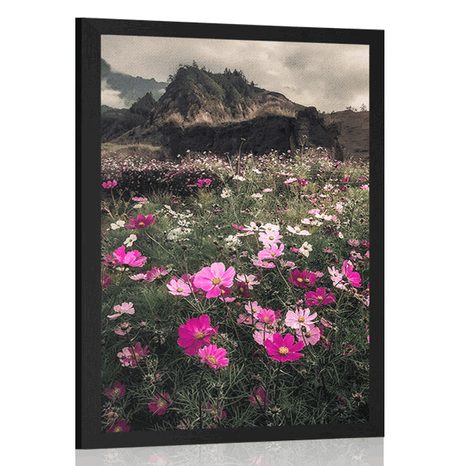 AFFICHE – PRAIRIE DE FLEURS EN FLEURS - NATURE - AFFICHES
