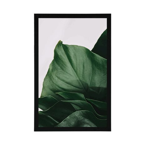AFFICHE – FEUILLE DE MONSTERA CHARMANTE - FLEURS - AFFICHES