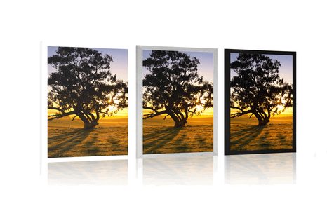 AFFICHE – ARBRE SOLITAIRE AU COUCHER DU SOLEIL - NATURE - AFFICHES