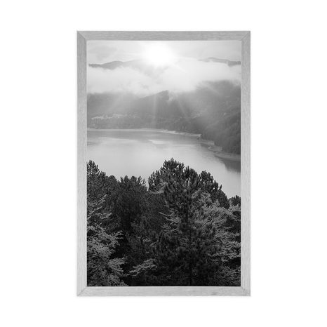 AFFICHE – RIVIÈRE AU MILIEU DE LA FORÊT EN NOIR ET BLANC - NOIR ET BLANC - AFFICHES