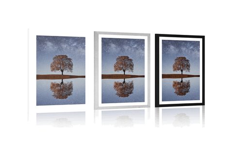 AFFICHE AVEC PASSE-PARTOUT – CIEL ÉTOILÉ AU-DESSUS D'UN ARBRE SOLITAIRE - NATURE - AFFICHES
