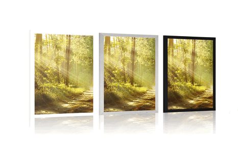 AFFICHE – RAYONS DE SOLEIL DANS LA FORÊT AVEC PASSE-PARTOUT - NATURE - AFFICHES