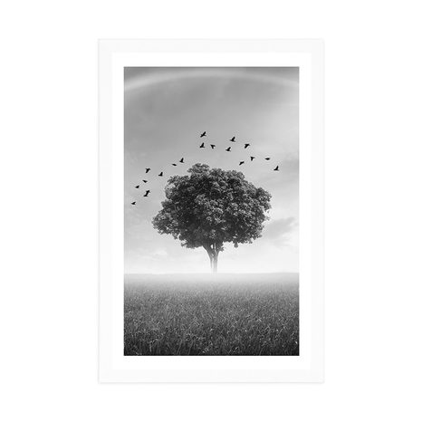 AFFICHE – ARBRE SOLITAIRE DANS UNE PRAIRIE EN NOIR ET BLANC - NOIR ET BLANC - AFFICHES