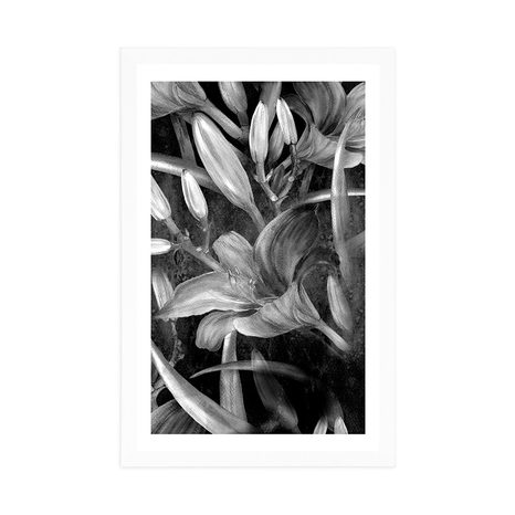 AFFICHE AVEC PASSE-PARTOUT – ÉPANOUISSEMENT DE LYS EN NOIR ET BLANC - NOIR ET BLANC - AFFICHES