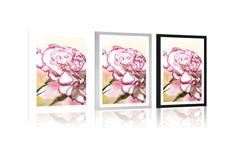 AFFICHE AVEC PASSE-PARTOUT – ŒILLET ÉLÉGANT - FLEURS - AFFICHES