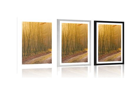 AFFICHE – CHEMIN VERS LA FORÊT - NATURE - AFFICHES