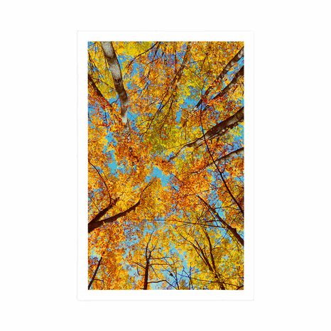 AFFICHE – COURONNES D'ARBRES EN AUTOMNE - NATURE - AFFICHES