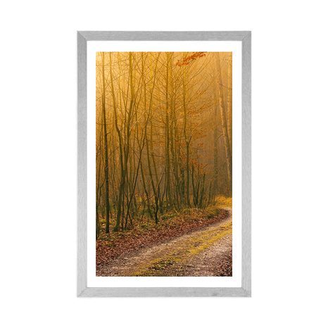 AFFICHE – CHEMIN VERS LA FORÊT - NATURE - AFFICHES