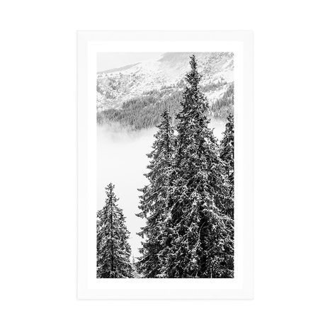 AFFICHE – PINS ENNEIGÉS EN NOIR ET BLANC - NOIR ET BLANC - AFFICHES