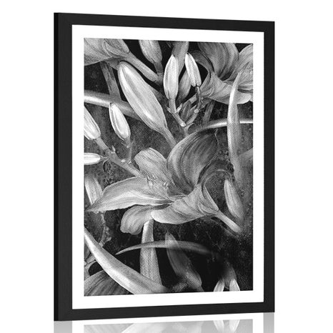 AFFICHE AVEC PASSE-PARTOUT – ÉPANOUISSEMENT DE LYS EN NOIR ET BLANC - NOIR ET BLANC - AFFICHES