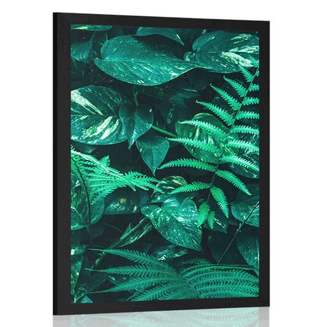 AFFICHE – FEUILLES TROPICALES FRAÎCHES - NATURE - AFFICHES