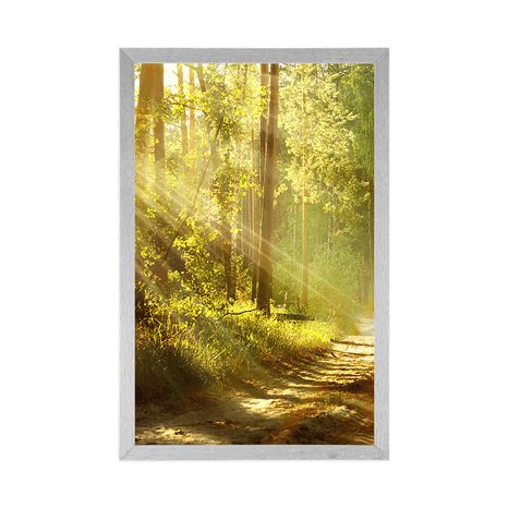 AFFICHE – RAYONS DE SOLEIL DANS LA FORÊT AVEC PASSE-PARTOUT - NATURE - AFFICHES