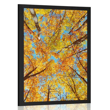 AFFICHE – COURONNES D'ARBRES EN AUTOMNE - NATURE - AFFICHES