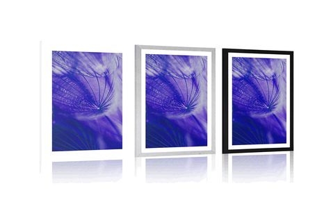 AFFICHE AVEC PASSE-PARTOUT – BEAU PISSENLIT EN VIOLET - FLEURS - AFFICHES