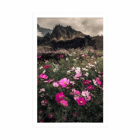 AFFICHE – PRAIRIE DE FLEURS EN FLEURS - NATURE - AFFICHES