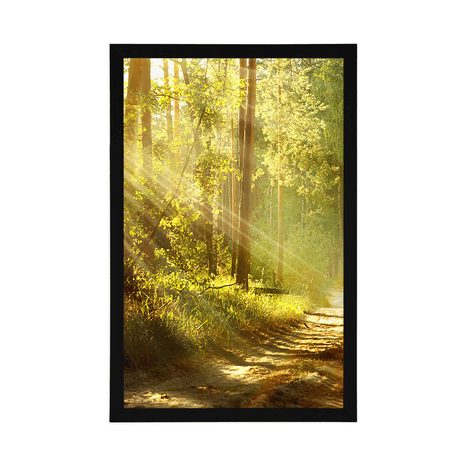 AFFICHE – RAYONS DE SOLEIL DANS LA FORÊT AVEC PASSE-PARTOUT - NATURE - AFFICHES