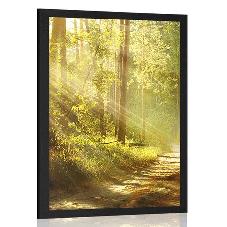 AFFICHE – RAYONS DE SOLEIL DANS LA FORÊT AVEC PASSE-PARTOUT - NATURE - AFFICHES