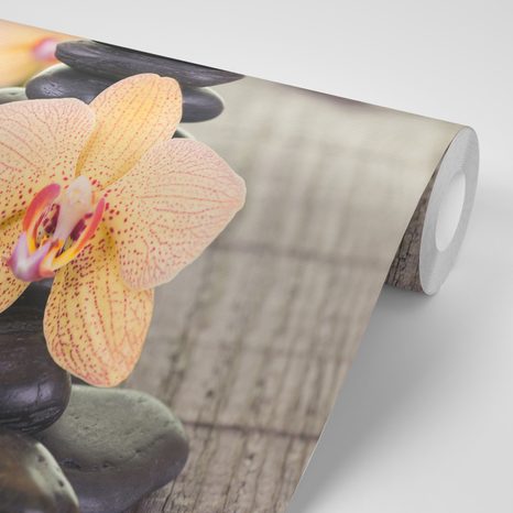 PAPIER PEINT PANORAMIQUE – ORCHIDÉES ET PIERRES ZEN - PAPIERS PEINTS FENG SHUI - PAPIERS PEINTS PANORAMIQUES