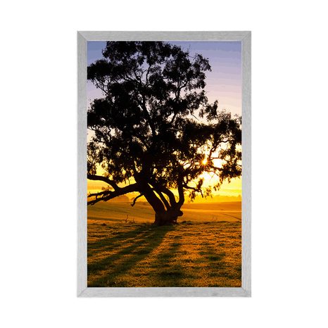 AFFICHE – ARBRE SOLITAIRE AU COUCHER DU SOLEIL - NATURE - AFFICHES