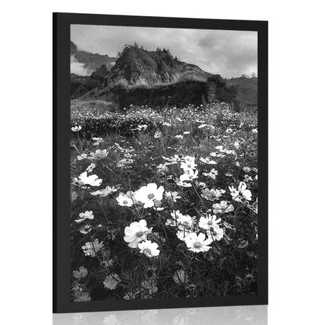 AFFICHE – PRAIRIE DE FLEURS EN FLEURS EN NOIR ET BLANC - NOIR ET BLANC - AFFICHES