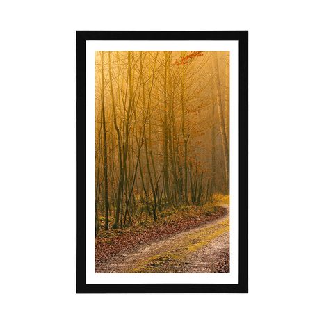 AFFICHE – CHEMIN VERS LA FORÊT - NATURE - AFFICHES