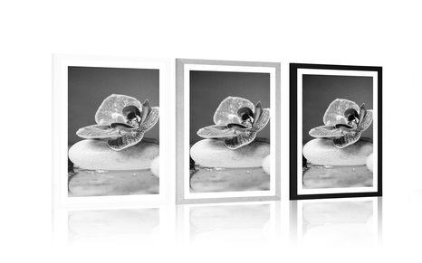 AFFICHE – ORCHIDÉE ET PIERRES ZEN EN NOIR ET BLANC - NOIR ET BLANC - AFFICHES