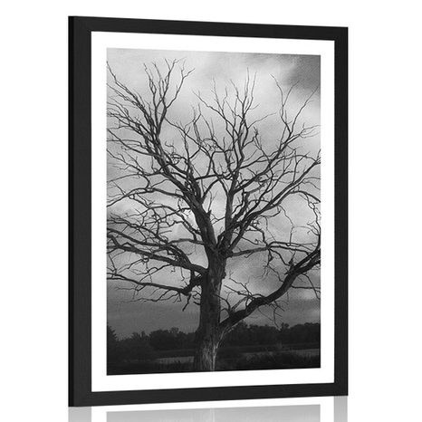 AFFICHE – ARBRE MAGNIFIQUE DANS LA PRAIRIE EN NOIR ET BLANC - NOIR ET BLANC - AFFICHES