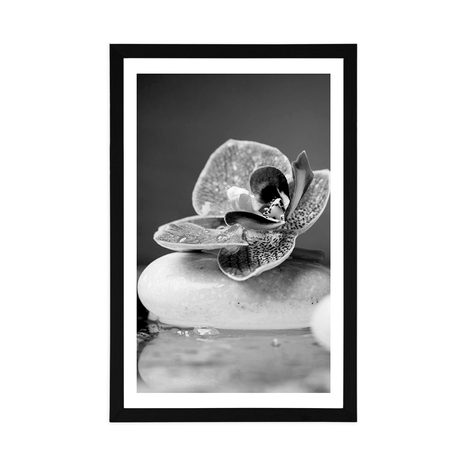 AFFICHE – ORCHIDÉE ET PIERRES ZEN EN NOIR ET BLANC - NOIR ET BLANC - AFFICHES
