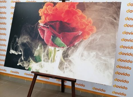 TABLEAU SUR TOILE – ROSE AVEC DES ÉLÉMENTS ABSTRAITS - TABLEAUX DE FLEURS - TABLEAUX