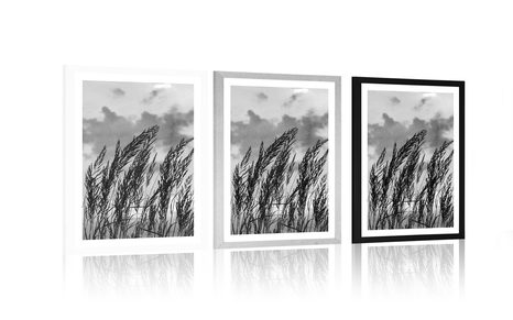 AFFICHE AVEC PASSE-PARTOUT – HERBE EN NOIR ET BLANC - NOIR ET BLANC - AFFICHES