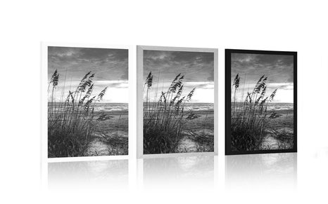 AFFICHE – COUCHER DE SOLEIL SUR LA PLAGE EN NOIR ET BLANC - NOIR ET BLANC - AFFICHES