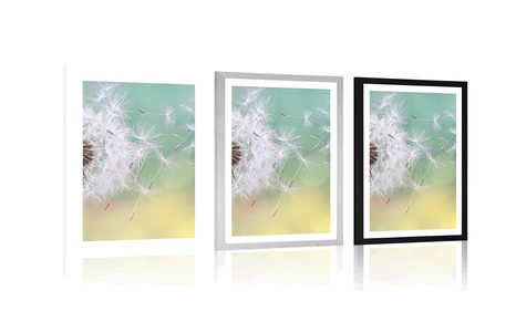 AFFICHE – PISSENLIT MAGIQUE - FLEURS - AFFICHES